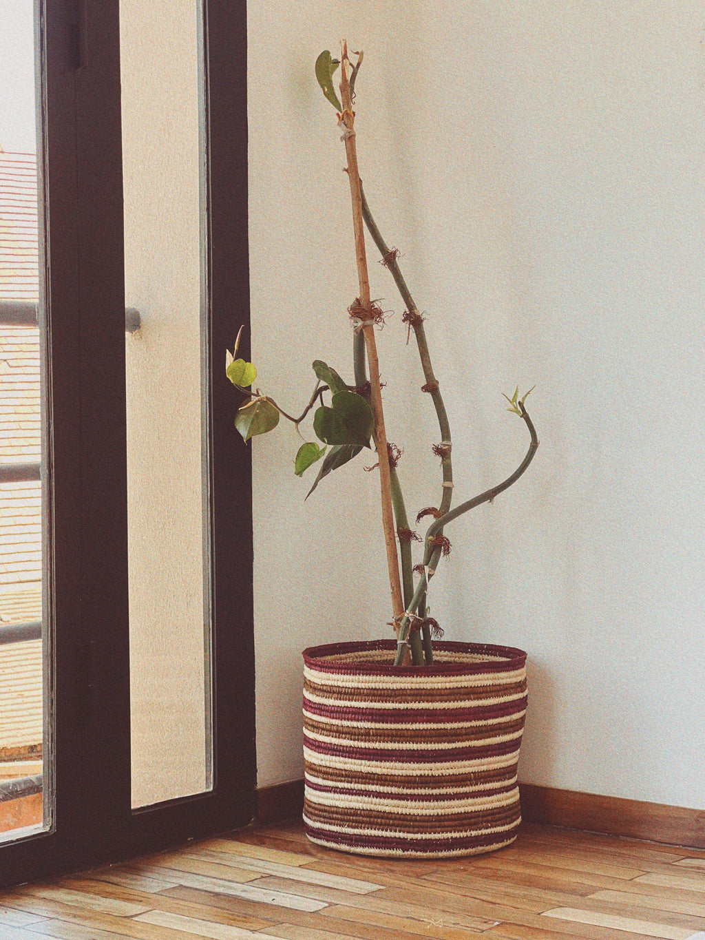 Printed pillow - Pair