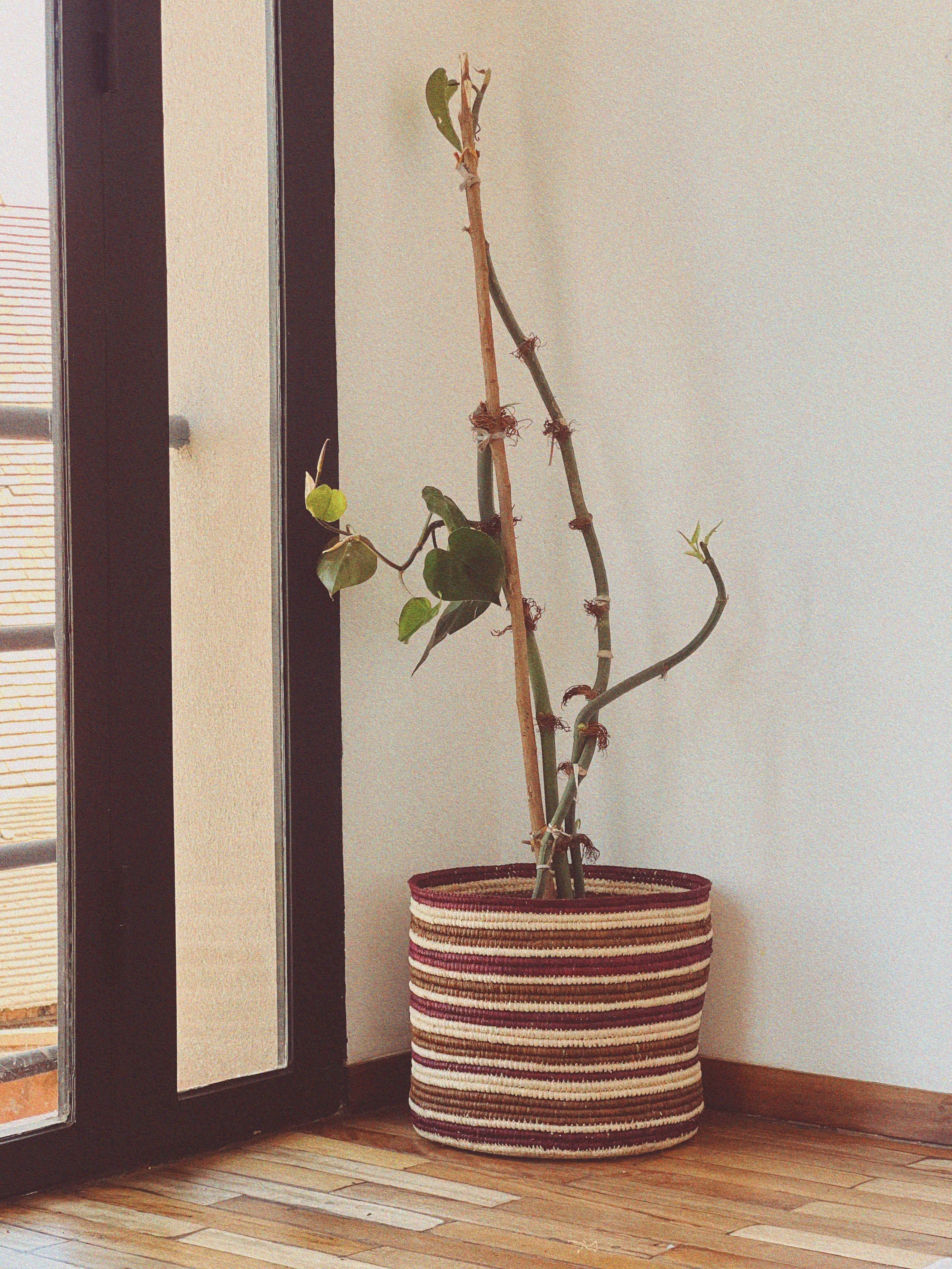 Printed pillow - Pair