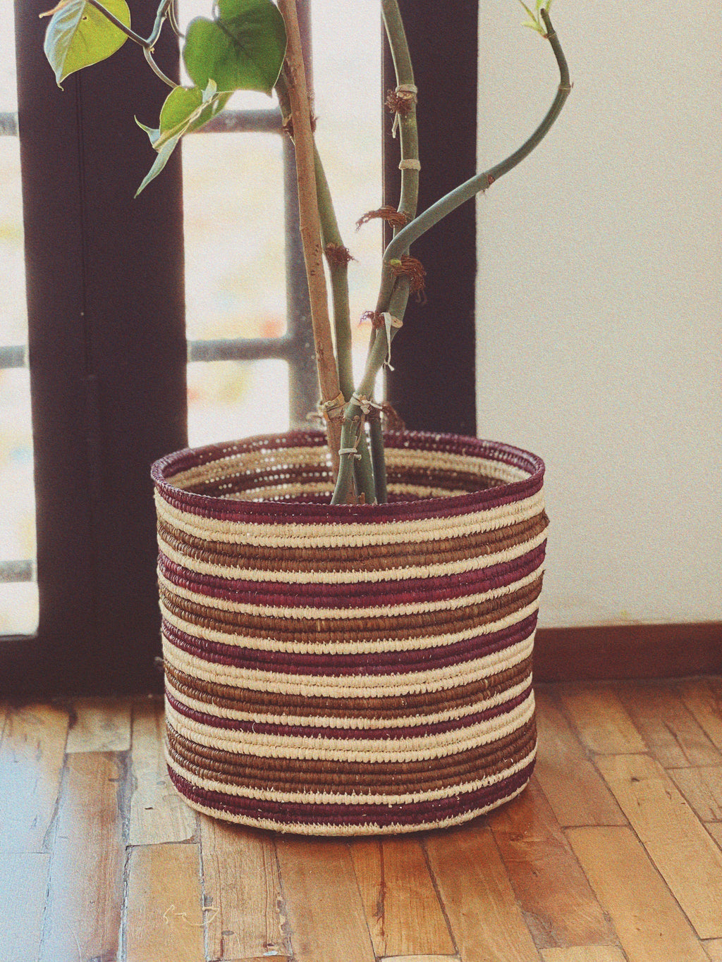 Printed pillow - Pair